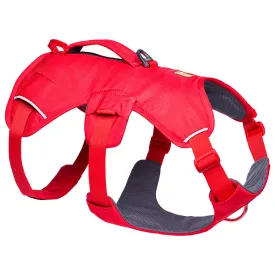 ruffwear-web-master--dog-harness