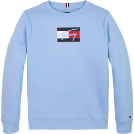tommy-hilfiger-Толстовка-script-flag