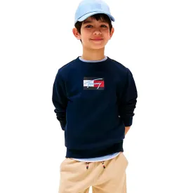 tommy-hilfiger-script-flag-troja