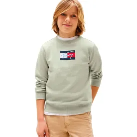 tommy-hilfiger-sudadera-script-flag