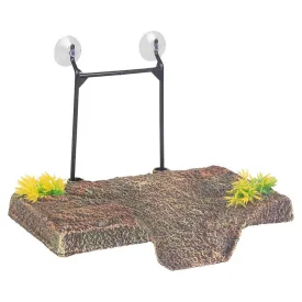 flamingo-como-rectangulo-tortuga-muelle-isla-s