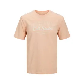 jack---jones-makoto-short-sleeve-t-shirt