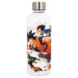 sherwood-dragon-ball-pullo