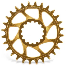 garbaruk-dm-e*thirteen-chainring