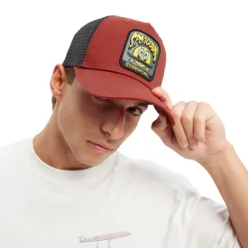 hydroponic-bone-sb-sk8bob