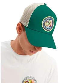 hydroponic-bone-sb-yin-yang