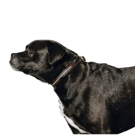 equitheme-guinzaglio-per-cani-max