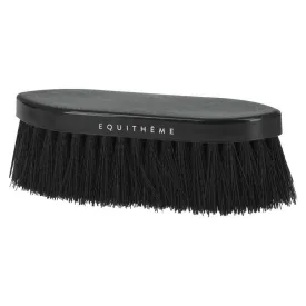 equitheme-studies-stiv-borste