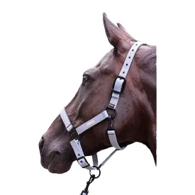 lami-cell-midnight-grimmor