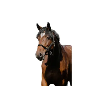 riding-world-cabecada-cushion-nylon