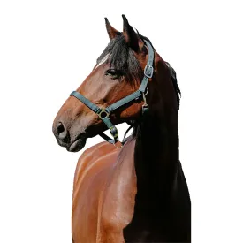 riding-world-cabecada-cushion-nylon
