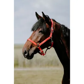 riding-world-cabecada-cushion-nylon