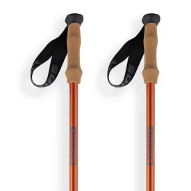 arva-nepal-3-parts-powerlock-cork-grip-지팡이