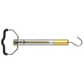 grauvell-hs602-analog-scale