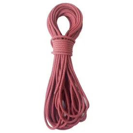 tendon-smartlite-9.8-standard-reb