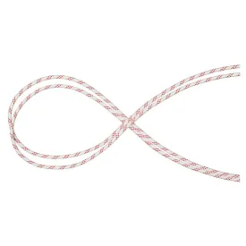 mammut-10.0-performance-static-로프