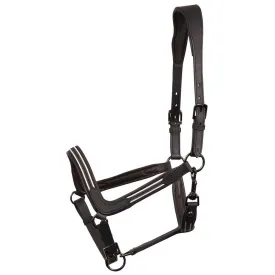 harrys-horse-cabrestro-leather-flash