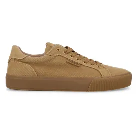 paredes-hermisende-trainers