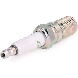 ngk-bugia-bp6ef