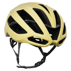 kask-casc-protone-icon-wg11