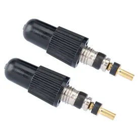 contec-nucli-de-valvula-presta-2-unitats