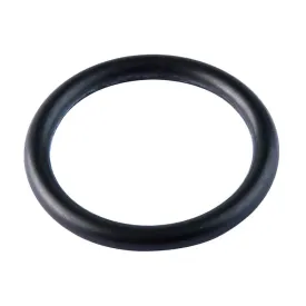 artic-an-1-o-ring-100-units