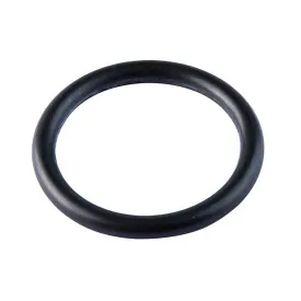 artic-an-29-o-ring-100-units
