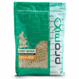 promix-esquer-carp-base-500g