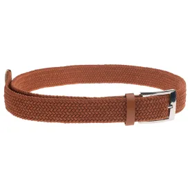 iguana-cinturon-saddler