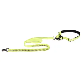 flamingo-correa-para-perro-diran-running