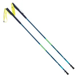 elbrus-batons-fitzroy