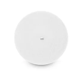 ld-systems-ldcfl52100v-speaker