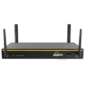 peplink-router-balance-20x