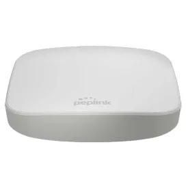 peplink-speedfusion-remote-connection-router
