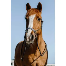 norton-equestrian-cabecada-fancy-ethological