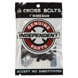 independent-genuine-parts-allen-1-screw