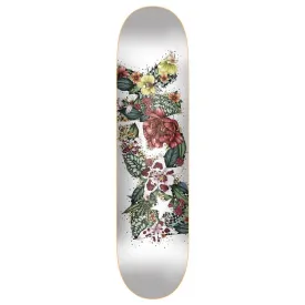 dgk-meadow-skateboard-deck