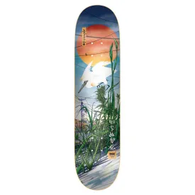 dgk-prosperity-vaughn-skateboard-deck