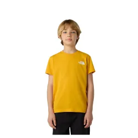 the-north-face-box-nse-short-sleeve-t-shirt