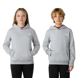 the-north-face-moletom-com-capuz-simple-dome