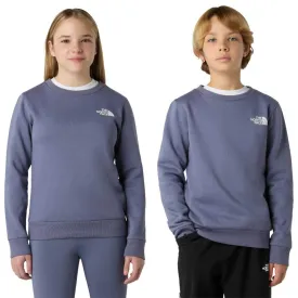 the-north-face-simple-dome-sweatshirt