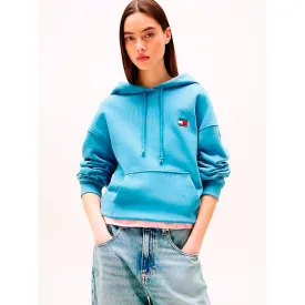 tommy-hilfiger-dw0dw19414-hoodie