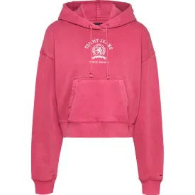 tommy-hilfiger-dw0dw20311-hoodie