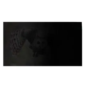 natec-owl-17.3-privacyfilter