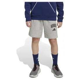adidas-seasonals-essentials-collegiate-typography-shorts