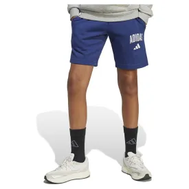 adidas-seasonals-essentials-collegiate-typography-shorts