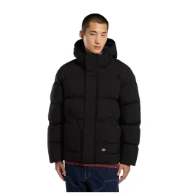 dickies-eagleville-패딩-재킷