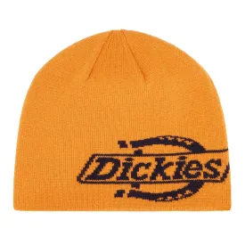 dickies-gorro-summerdale-logo