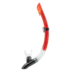 abysstar-vip-speerfischen-mit-schnorchel