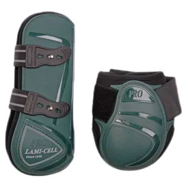 lami-cell-paratendini-e-paranocche